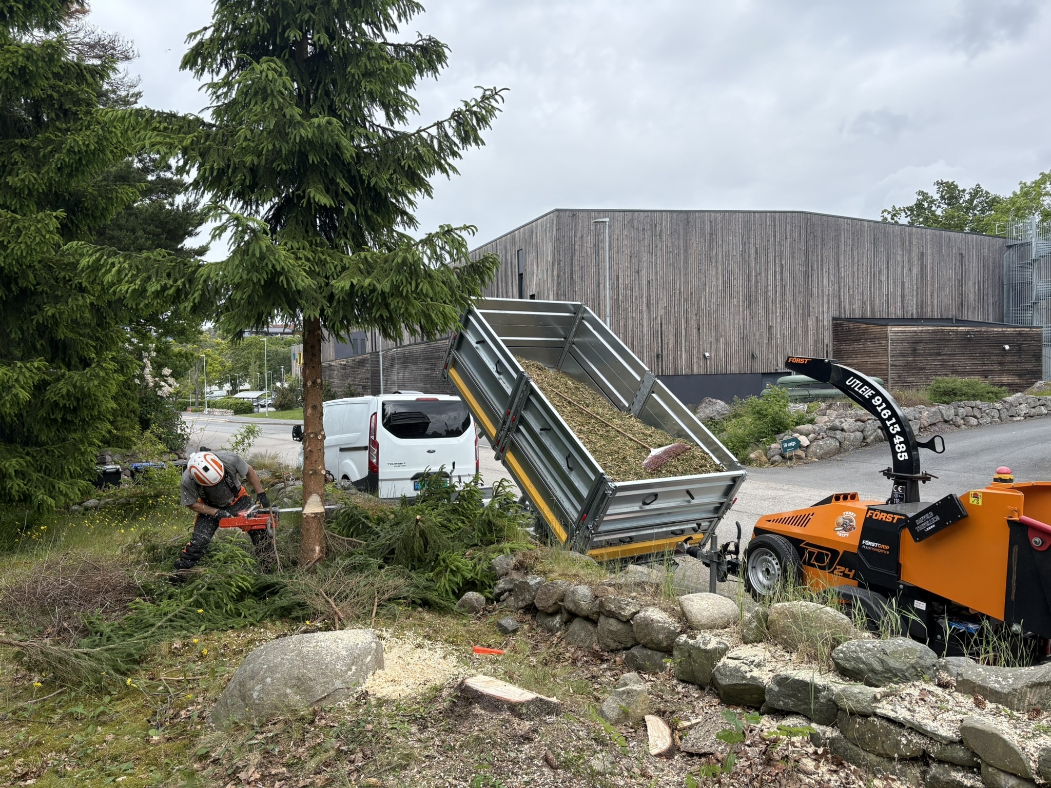 bortkjøring og avfall